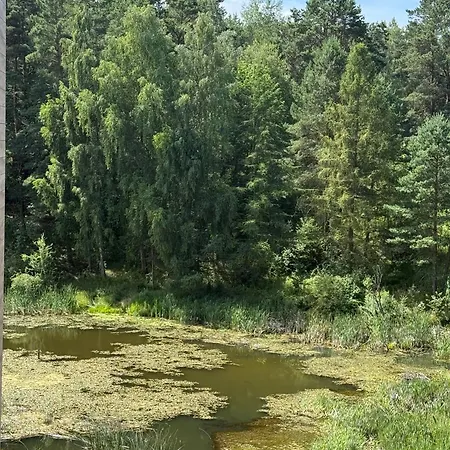 Lejlighed - Vidok 301